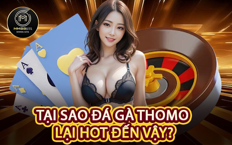 Tại Sao Đá Gà Thomo Lại Hot Đến Vậy?